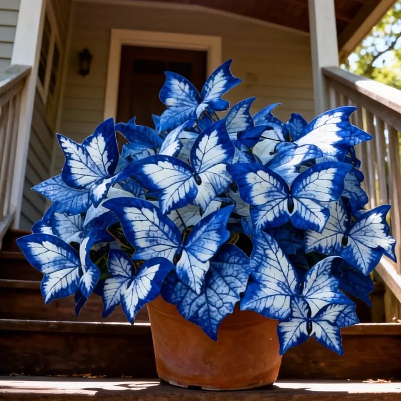 🔥Last Day: Hot Sale 49% OFF - 🍃🦋 Butterfly Leaf Hosta Seeds: Add a Touch of Whimsy to Your Garden!🌿-YH