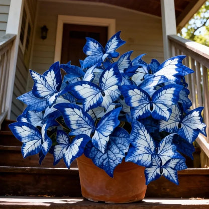 🔥Last Day: Hot Sale 49% OFF - 🍃🦋 Butterfly Leaf Hosta Seeds: Add a Touch of Whimsy to Your Garden!🌿-YH