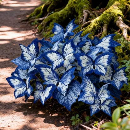 🔥Last Day: Hot Sale 49% OFF - 🍃🦋 Butterfly Leaf Hosta Seeds: Add a Touch of Whimsy to Your Garden!🌿-YH