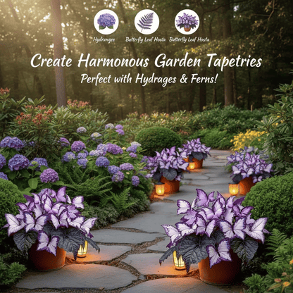 🔥Last Day: Hot Sale 49% OFF - 🍃🦋 Butterfly Leaf Hosta Seeds: Add a Touch of Whimsy to Your Garden!🌿-YH