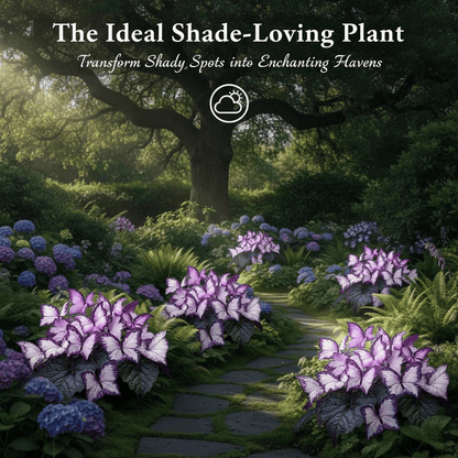 🔥Last Day: Hot Sale 49% OFF - 🍃🦋 Butterfly Leaf Hosta Seeds: Add a Touch of Whimsy to Your Garden!🌿-YH