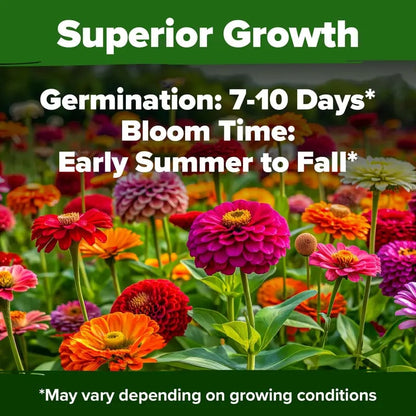 🔥HOT SALE 49% OFF-Zinnia Seeds - Pure Seeds - No Filler - USA Heirloom Flower Seeds  -$AC