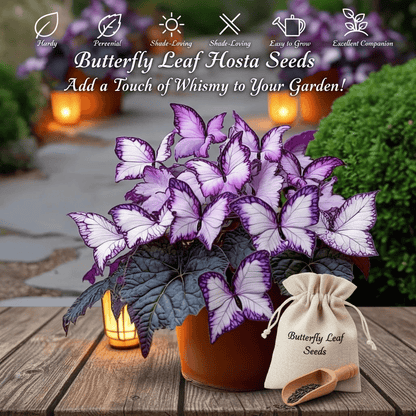 🔥Last Day: Hot Sale 49% OFF - 🍃🦋 Butterfly Leaf Hosta Seeds: Add a Touch of Whimsy to Your Garden!🌿-YH