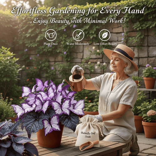 🔥Last Day: Hot Sale 49% OFF - 🍃🦋 Butterfly Leaf Hosta Seeds: Add a Touch of Whimsy to Your Garden!🌿-YH