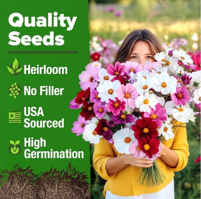 🔥HOT SALE 49% OFF-Zinnia Seeds - Pure Seeds - No Filler - USA Heirloom Flower Seeds  -$AC