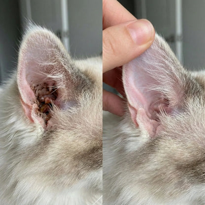 Best Seller🔥  StrollStash Herbal Pet Ear Drops🎉Special limited-time discount-WH