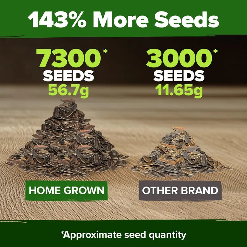 🔥HOT SALE 49% OFF-Zinnia Seeds - Pure Seeds - No Filler - USA Heirloom Flower Seeds  -$AC