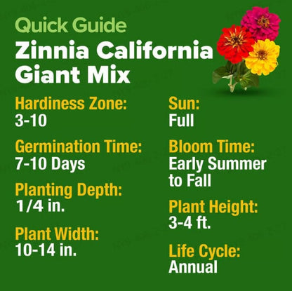 🔥HOT SALE 49% OFF-Zinnia Seeds - Pure Seeds - No Filler - USA Heirloom Flower Seeds  -$AC