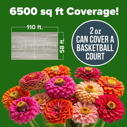 🔥HOT SALE 49% OFF-Zinnia Seeds - Pure Seeds - No Filler - USA Heirloom Flower Seeds  -$AC