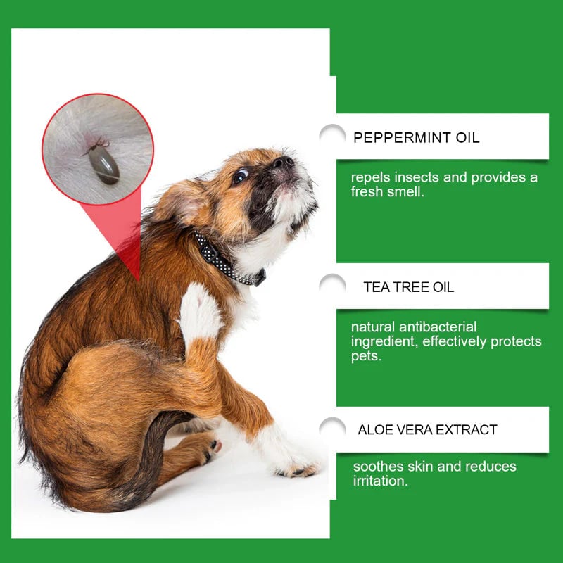 🍃Natural Flea & Tick Spray for Dogs and Cats🐾 Keep Your Beloved Pet Free from Pests -$AC