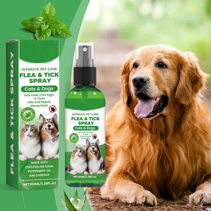 🍃Natural Flea & Tick Spray for Dogs and Cats🐾 Keep Your Beloved Pet Free from Pests -$AC