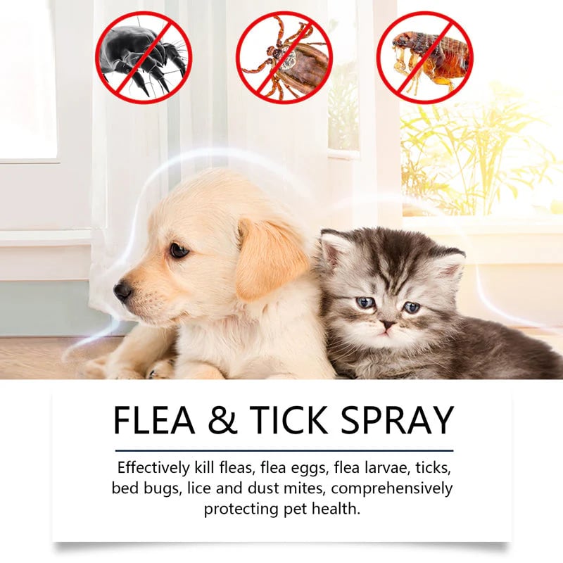 🍃Natural Flea & Tick Spray for Dogs and Cats🐾 Keep Your Beloved Pet Free from Pests -$AC