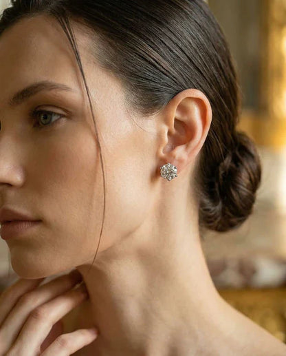 Apexsavers™ Zircon Earrings Earrings
